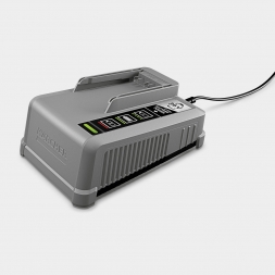 Cargador rpido Battery Power+ 36/60